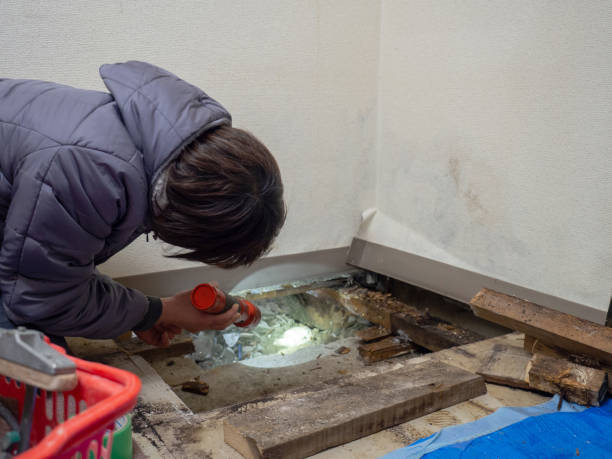 Best Industrial Mold Remediation  in Rogue River, OR