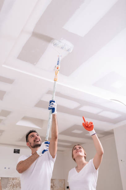 Best Mold Prevention Services  in Rogue River, OR