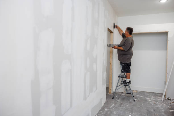 Best Basement Mold Removal  in Rogue River, OR
