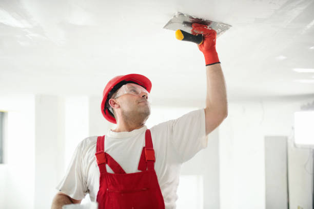 Best Attic Mold Removal  in Rogue River, OR