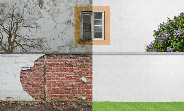 Best Real Estate Mold Inspection  in Rogue River, OR